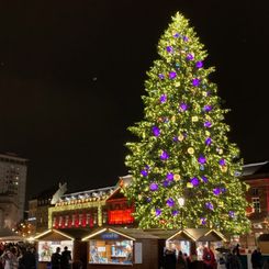 Weihnachtsmarkt mit Weihnachtsbaum bei Stadtführungen in Straßburg